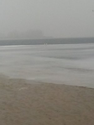 IMG_20210314_065536.jpg
