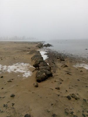 IMG_20210314_073456.jpg
