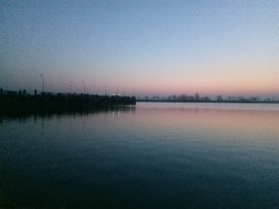 IMG_20210328_060647.jpg
