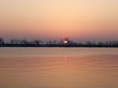 IMG_20210328_064505.jpg