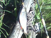 SP_A0109.jpg