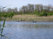 SDC10094_изменить размер.JPG