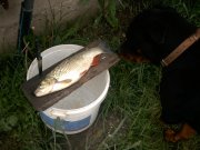 Img_002.jpg