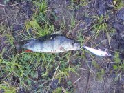 DSC02945.JPG