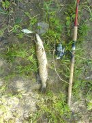 DSC02928.JPG