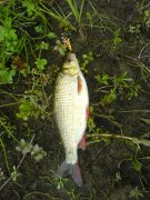 DSC02930.JPG