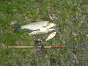 DSC02937.JPG