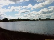 IMAG0016.jpg