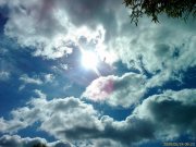 IMAG0018.jpg