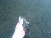 DSC00914.JPG