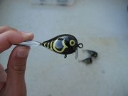 IMG_0643.JPG