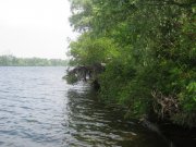 IMG_1625.jpg