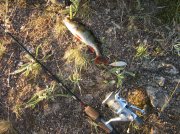 IMG_1097.jpg