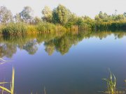 IMAG0038_измен.размер.jpg