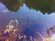 IMAG0041.jpg