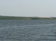 P1000944.jpg