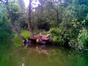 Зобр010.jpg