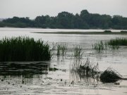 DSCN5776.JPG