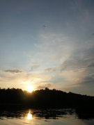 DSCN5798.jpg