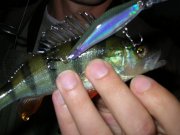 DSCN5799.JPG