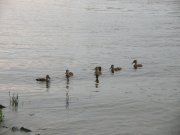DSCN5818.JPG