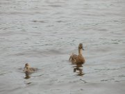 DSCN5819.JPG