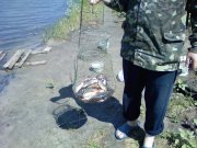PIC-0114.jpg