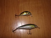 DSC04626.jpg