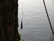 DSCN5895.JPG