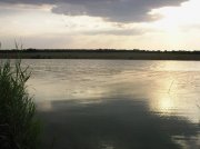 Фото834.jpg