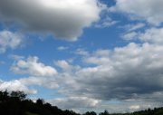 IMG_7985.jpg
