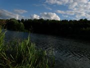 IMG_8016.jpg