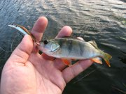 IMG_8036.jpg