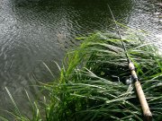 IMG_8015.jpg