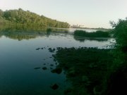 20090721.jpg