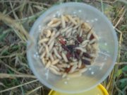 DSC04956.jpg
