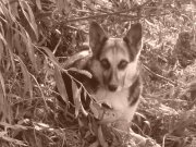 DSC04959.JPG