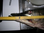 DSCN7855.JPG