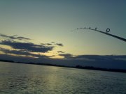 290720091076.jpg