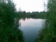 Ставок Б_03082009.jpg