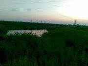 Ставок А вид сзади_03082009(002).jpg