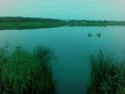 Ставок А_03082009(004).jpg