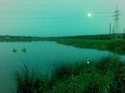 Ставок А_03082009(005).jpg