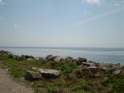 Копия P7150009.JPG