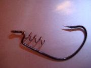DSC03245.jpg