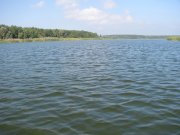IMG_0204.jpg