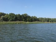 IMG_0206.jpg