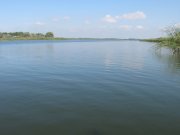 IMG_0207.jpg