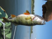 IMG_0212.jpg