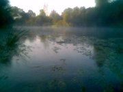 Зобр024.jpg